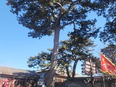 -妙峰山风景名胜区