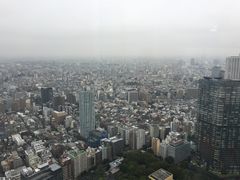 -东京都厅舍