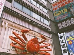 -蟹道乐(道顿堀本店)