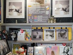 -浣熊唱片店(上海影城店)