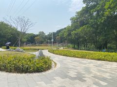 -梧桐山风景名胜区