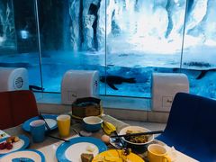 -帝企鹅自助餐厅•儿童岛•真企鹅(长隆企鹅酒店)