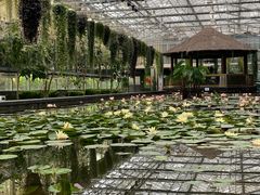 -常州花鸟园酒店(西太湖品牌优选店)