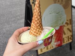 -Mint Gelato(二厂店)