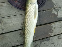 -酷鱼垂钓CLUB(朝阳区博大路店 )