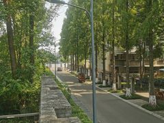 -成飞公园