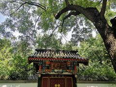 -宣武艺园