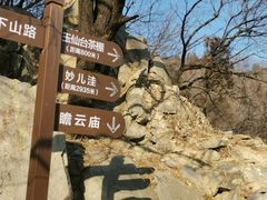 -阳台山自然风景区