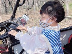 -南山特攻真人CS户外露营轰趴拓展基地
