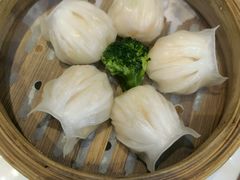 -潍城老菜馆·地标美食