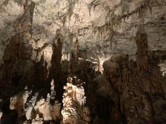 -波斯托伊纳溶洞