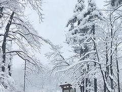 -四明山国家森林公园