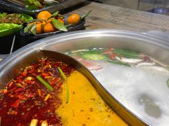 屋头经典鸳鸯锅-成都屋头串串(青年北街店)
