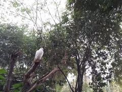 -温江公园