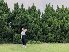 -南沙蒲洲花园