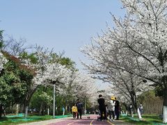 -尚贤河湿地