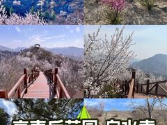 -白水寺森林公园