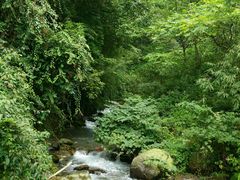 -西岭雪山大飞水景区