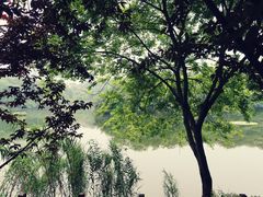 -重庆彩云湖湿地公园