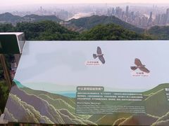 -大金鹰园