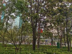 -上海尚嘉中心