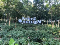 -天目湖山水园