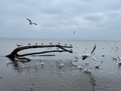 -捞渔河湿地公园