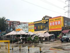 -中环花鸟鱼虫市场