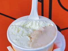 无花果叶-Dip in Gelato(富民路店)
