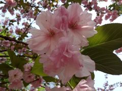 -合肥野生动物园