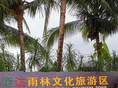 -呀诺达热带雨林