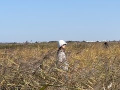 -黑龙江扎龙生态旅游区