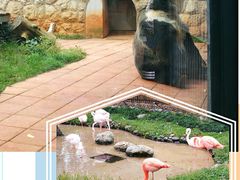 -昆明动物园