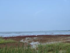 -辽宁团山国家级海洋公园