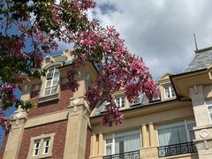 -中旅阿那亚九龙湖·公主酒店