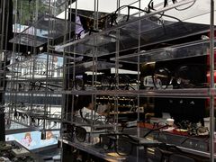-肆兮眼镜·蔡司·徕卡战略合作店(大坪店)