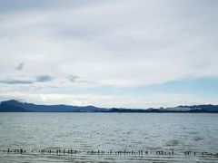 -深圳湾公园(南山区)