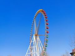 -石家庄市动物园