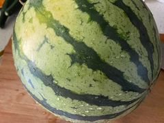 -庞各庄翠芳园西瓜蔬菜基地采摘园