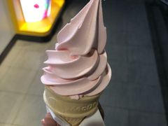 -麦当劳(石家庄北国店)