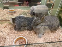 -龙猫仔乐园(惠福东路店)