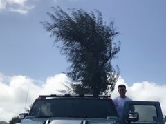 -丽姐租车