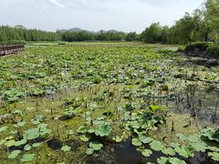 -云龙湖旅游景区
