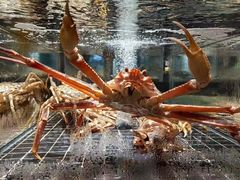 -鑫悦楼煎蟹·16年海鲜大排档