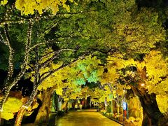 -横店影视城梦幻谷园区