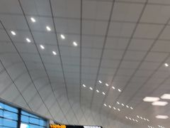 -郑州新郑国际机场-T2航站楼
