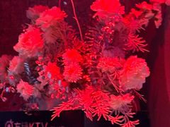 -方糖KTV-PLUS(世茂广场店)