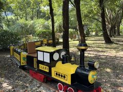 -东南花都花博园