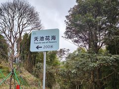 -广州市石门国家森林公园