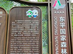 -东平国家森林公园